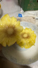 正宗海南金钻凤梨新鲜水果当季树上熟芒果凤梨【催熟食用】 1粒装中果 单果1.3-1.7斤 实拍图