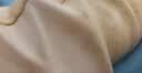 浪莎睡衣女防螨抑菌春秋款可外穿纯棉冬长袖长裤大码女生家居服套装 实拍图