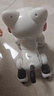 索迪新年礼物AI智能机器人遥控汽车机器狗猫婴幼儿童宝宝玩具女孩生日 实拍图