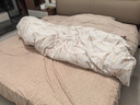 罗莱家纺全棉磨毛四件套柔软纯棉三件套秋冬保暖床上用品 栖叶【咖啡色】 32支 1.8米/四件套 床单款 （220*250cm） 实拍图