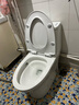九牧（JOMOO）11173-2-1/41KD-3大力神普通马桶家用虹吸抗菌节水坐便器400坑距 实拍图