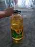 西王 食用油 玉米胚芽油 5L 非转基因物理压榨（新老包装交替发货） 实拍图