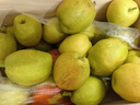 京鲜生 新疆库尔勒香梨 净重8斤 单果140g以上 生鲜水果 礼盒装 实拍图