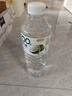 小轻果语100%椰子水饮料大瓶装整箱装夏季解渴清新饮品 100%椰子水1.25L*2瓶 1250ml*2大瓶 实拍图