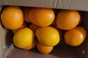 玖原农珍 赣南脐橙新鲜橙子含箱10斤净重9斤优选果150-300g 年货水果礼盒 实拍图