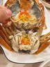【活蟹】湖鲜阳澄大闸蟹公3.8-4.1两 母2.8-3.1两4对8只年货送礼鲜活螃蟹礼盒源头直发 实拍图