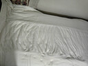 洁丽雅新疆棉花床垫1.2m 学生床垫宿舍床褥子单人可折叠软垫被120*200cm 实拍图