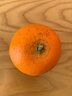 果果牛湖南麻阳冰糖橙 应当季新鲜水果手剥甜橙子高山夏脐血多汁 可选 净重9斤(单果60mm以下)实惠 实拍图