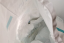 帮宝适超薄透气清新帮拉拉裤新生儿婴儿尿不湿尿片透氧Pro XL62 实拍图