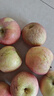 京喜加正宗红富士丑苹果脆爽多汁应季红富士苹果新鲜苹果多仓混发 整箱9斤净重8斤A+级中果【果径70-75】 实拍图