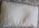 京东京造 经典荞荞枕 100%荞麦壳填充透气高度可调花草枕头枕芯单只装 实拍图