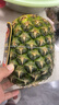 都乐Dole 菲律宾无冠金菠萝 巨无霸果2个装 单果净重2.6斤  源头直发 实拍图