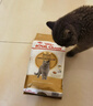 皇家猫粮 英短成猫粮 BS34 通用粮 12月以上 2KG 实拍图