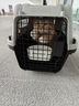华元宠具（hoopet）猫咪航空箱宠物手提笼子狗狗托运箱车载猫包便携外出国航标准版S 实拍图
