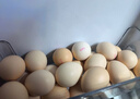 京鲜生可生食标准鲜鸡蛋30枚礼盒装3斤 源头直发 实拍图