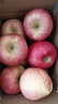 京鲜生 陕西洛川红富士苹果 净重5斤75-80mm单果170g+新鲜水果源头直发  实拍图