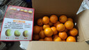 果果牛湖南麻阳冰糖橙 应当季新鲜水果手剥甜橙子高山夏脐血多汁 可选 净重9斤(单果60mm以下)实惠 实拍图