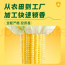 十月稻田 黄甜糯玉米 8根 3.52斤 真空包装 东北粘玉米棒 低脂早餐 实拍图