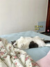 半弦月【热销爆款】冰丝凉席子可机洗床笠床垫床单宿舍1.5mx1.8x2米 雪花灰丨冰丝凉感丨可机洗加厚款 150cm*200cm 丨床单款丨贈枕套*2 实拍图
