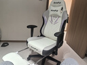 傲风C3灵风电竞椅子人体工学椅电脑椅办公椅人工力学椅游戏椅国家补贴 实拍图