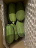 京鲜生 台湾短棒肉丝瓜 5斤装 单果220g起 新鲜蔬菜 源头直发包邮 实拍图