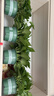 双盟绿萝盆栽除甲醛花卉绿植办公室新房净化空气180加仑4盆装源头直发 实拍图
