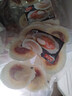 富海锦鲜汁半壳虾夷扇贝540g 8-10只无沙火锅烧烤食材 海鲜生鲜年货送礼 实拍图