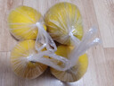 京鲜生 梅州沙田柚金柚 净重8斤4粒单果1.6斤+生鲜水果年货送礼源头直发 实拍图