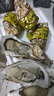 蜀皇 乳山生蚝鲜活大海鲜5斤净重4XL(9-13只)只源头直发包 邮 实拍图