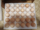 京鲜生 无抗保洁鲜鸡蛋30枚/盒 健康轻食 礼盒送礼 1.5kg/盒 源头直发 实拍图