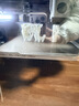 拓竹P1SC 3D打印机桌面家用FDM全自动调平大尺寸多色高速3d打印机器bambulab P1S 多色套装【大陆版】 实拍图
