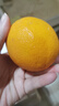 农夫山泉【送礼优选】17.5°度 橙子 当季脐橙 新鲜现采 水果礼盒 铂金果 3kg（果径65~80mm） 实拍图