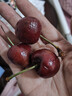 京鲜生 智利车厘子2J级10斤礼盒装 果径约28-30mm 水果年货礼盒 实拍图