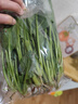 大菠菜300g 实拍图