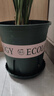 九千谷加仑花盆高3加仑升级款园艺花盆绿萝多肉花盆26*26cm2个装5938 实拍图