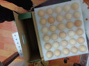 京鲜生 无抗保洁鲜鸡蛋30枚/盒 健康轻食 礼盒送礼 1.5kg/盒 源头直发 实拍图