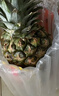 佳农 菲律宾进口菠萝 2个装 凤梨 单果净重2斤 生鲜水果源头直发 包邮 实拍图