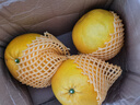京喜加超值黄皮葡萄柚红心蜜柚柚子爆汁新鲜水果酸甜可口年货节送礼 黄皮葡萄柚带箱4斤 实拍图