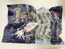 338 墨汁墨鱼肠150g/袋/15个 烧烤火锅麻辣烫食材 深海大墨鱼制作 实拍图