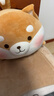 名创优品（MINISO）趣味阿柴趴姿毛绒公仔玩偶抱枕玩具靠枕娃娃送礼儿童生日礼物女 实拍图