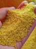 秋宜 陕西黄小米新米农家精品糯小米宝宝辅食五谷杂粮优质粘米 精选3斤【严选装】净重2.5斤 新鲜 实拍图