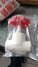 联塑PPR热熔截止阀 4分白色止水阀 冷热水水管开关阀门闸阀 dn20 实拍图