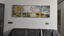诗六艺家饰客厅装饰画北欧现代简约沙发背景墙挂画三联画大气轻奢壁画晶瓷画 家和富贵A（铝合金外框） 晶瓷画左右50*70+中间100*70亮面 实拍图