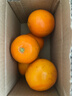 【新鲜上市】湖北秭归纽荷尔脐橙热卖核心产区产地直发 带箱1斤60mm 实拍图
