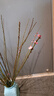 花翁水培鲜枝鲜花干枝花卉植物盆栽 红梅鲜枝【70-80cm20枝】源头直发 实拍图