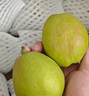 京鲜生 新疆库尔勒香梨 净重8斤 单果120g起 生鲜水果 礼盒装 包装随机 实拍图