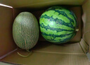 京鲜生 无籽麒麟大西瓜 1粒装 净重7-9斤 生鲜水果 实拍图