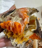【活蟹】湖鲜阳澄大闸蟹全母3.9-4.2两8只去绳足重过年鲜活年货螃蟹送礼礼盒装源头直发 实拍图