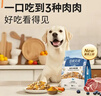 伯纳天纯三拼冻干牛肉粒肉松犬粮20kg/40斤 实拍图