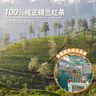 迪尔玛原味锡兰红茶 50袋*2g 茶包裸包 斯里兰卡进口 实拍图